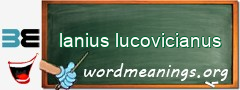 WordMeaning blackboard for lanius lucovicianus